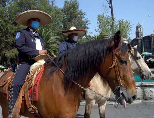 Mariachi-swine flu