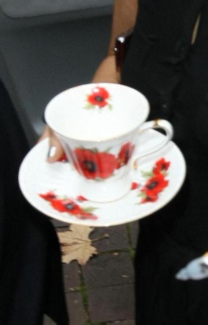 lady-gaga-teacup china