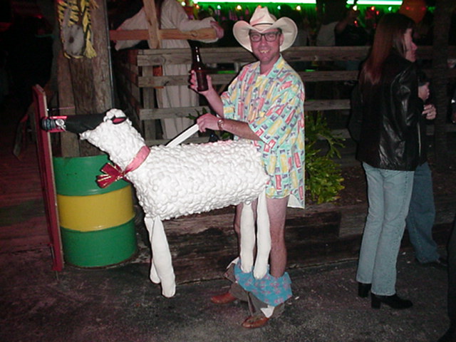 Funny Halloween Costume