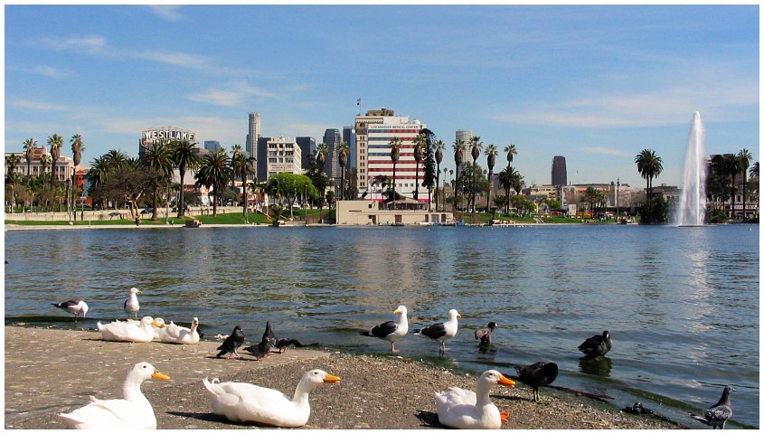 mac_arthur_park