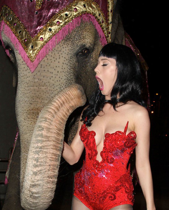 Katy Perry gives a blow job to an elephant at Perez Hilton's Birthday Party